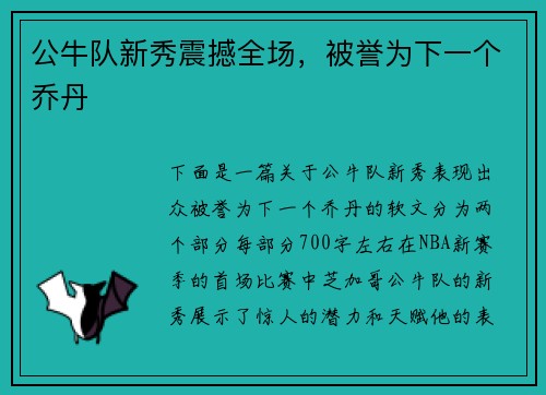 公牛队新秀震撼全场，被誉为下一个乔丹